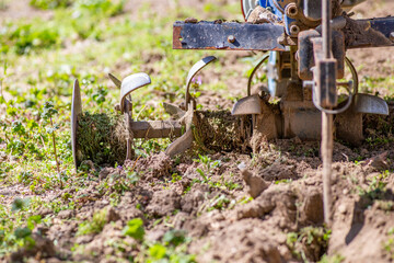 Old grubber with green background.