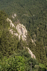 Mountainous area covered with forest. Black Sea forests. Shot in Rize Turkey