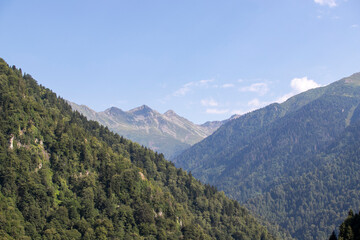 Fototapeta na wymiar Mountainous area covered with forest. Black Sea forests. Shot in Rize Turkey
