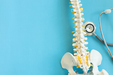 close up top view on human skeleton at lower back and stethoscope on blue background for treatment...