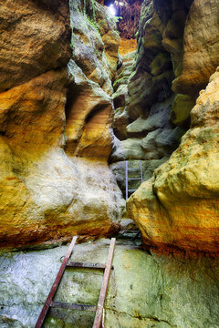 Pivnice sandstone canyon in Czech republic, Vysocina
