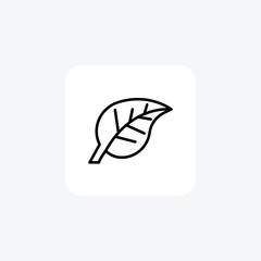 Leaf, Foliage, Plant, Nature,Line Icon, Outline icon, vector icon, pixel perfect icon