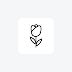 Flower, Bloom, Botany, Garden, Line Icon, Outline icon, vector icon, pixel perfect icon