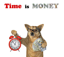Dog with alarm clock and dollars - 685030218