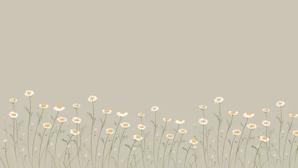 Zelfklevend Fotobehang Chamomile field flowers border. Beautiful nature cute white daisy art drawing with background. Spring Daisy banner footage. Summer flowers. Beautiful meadow. Summer background, hand drawn flower. © Irin