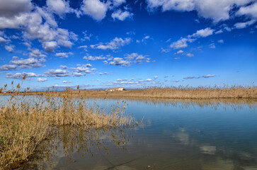 The Ebro Delta is a big wetland area and a unique natural region located in Spain.