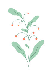 Flower with blooming bud vector.