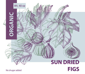 Dried figs label design with fig branch