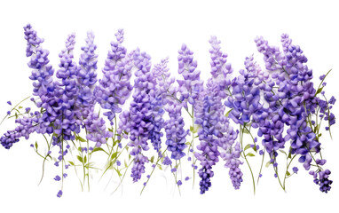 Lavender Dreamscape On transparent background