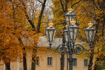 Beautiful elegant old street lamp in a park in autumn with trees and yellow leaves in Oslo, Norway 