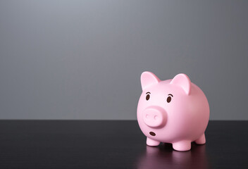 Surprised and worried piggy bank. Financial risks and saving savings. How to save more. Attractive prices. Banking secrecy. Audit and accounting. How to pay taxes. Finance guide.