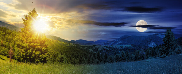 slope of mountain range with coniferous forest on a meadow with sun and moon at twilight. day and...