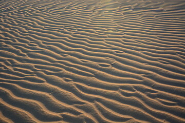 Sand texture 
