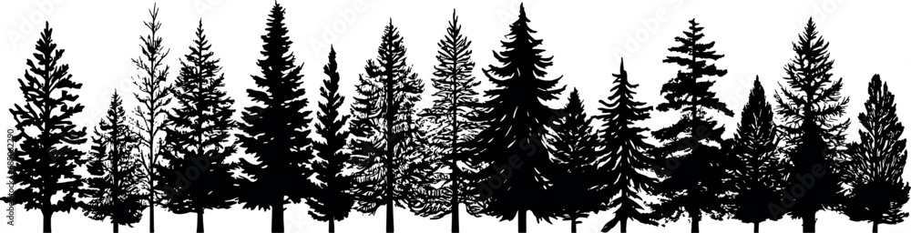 Poster set of horizontal silhouettes depicting coniferous spruce fir trees on transparent background. gener