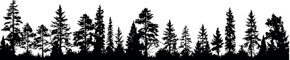 Set of silhouettes featuring horizontal arrangements of coniferous spruce fir trees on a transparent background. Generative AI
