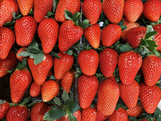 Big strawberry boxes top view texture. Fruit retail shop backgrounds