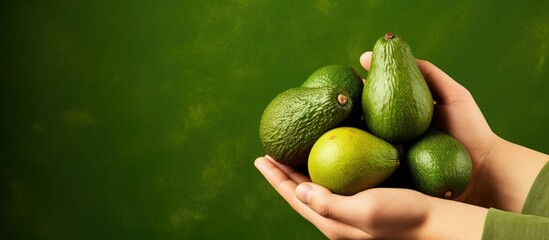 Hand with gloves picking a Hass avocado fruit copy space image