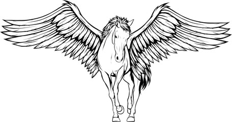 Vector illustration of horse in outline design - obrazy, fototapety, plakaty