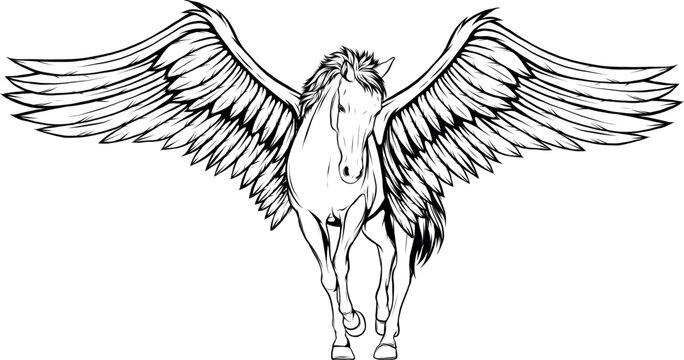 Vector illustration of horse in outline design