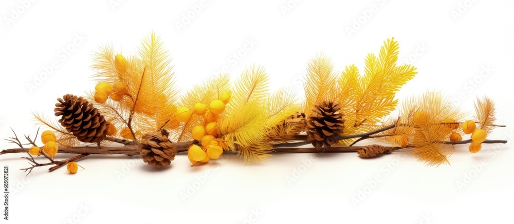 Poster dead pine branch and yellow autumn conifer needles isolated on white copy space image