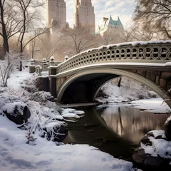Foto auf Acrylglas Gapstow-Brücke Gapstow Bridge, Central Park, New York City in Winter