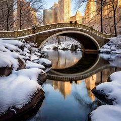 Stickers pour porte Pont de Gapstow Gapstow Bridge, Central Park, New York City in Winter