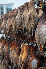 Pheasant and duck bird hunting in Scandinavia during late autumn, Hunters selling the birds at a local market.