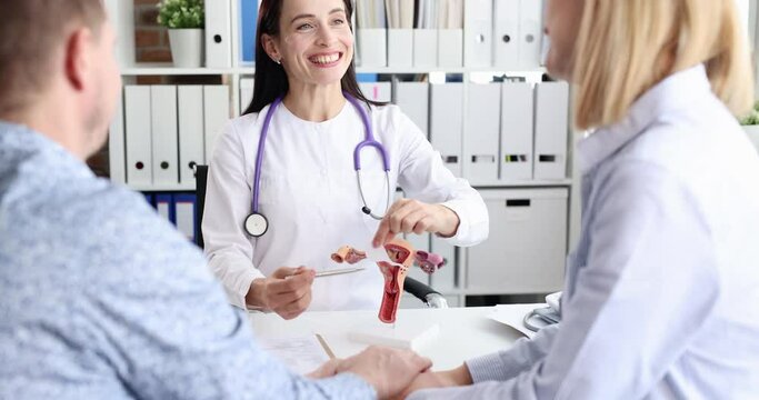 Gynecologist conducts consultation for married couple and shows on model how fertilization of uterus with sperm cell takes place. Pregnancy planning and in vitro fertilization concept