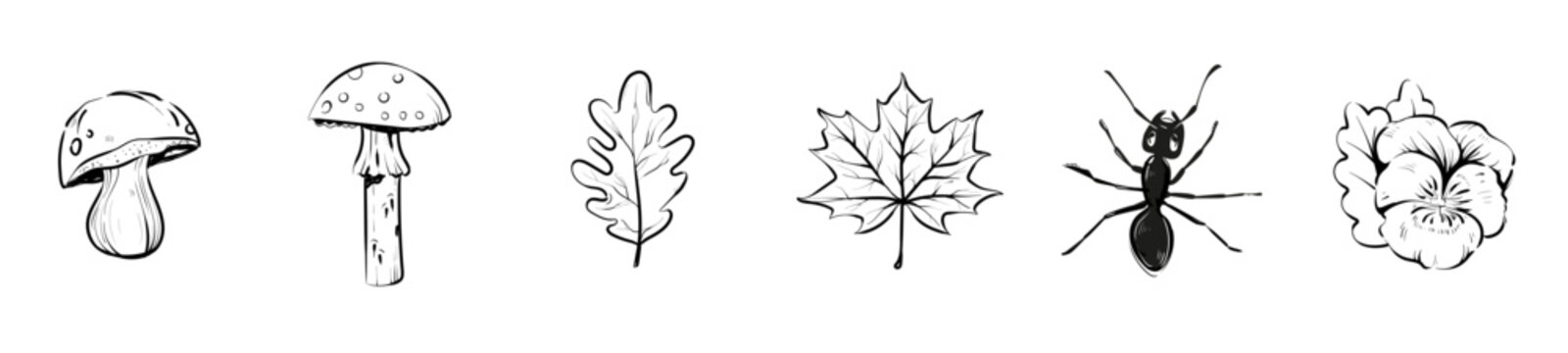 &eacute;l&eacute;ments nature et for&ecirc;t en contour modifiable