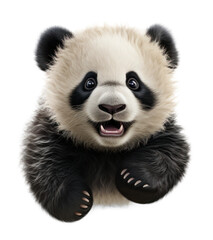 Fototapeta premium Cute Panda jumping isolated cutout on transparent background. for advertisement. product presentation. banner, poster, card, t shirt, sticker.