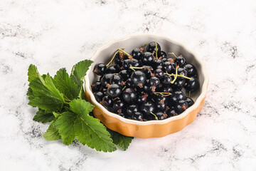 Juicy black currant berries in the bowl