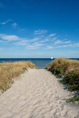 Fototapeta na wymiar Path between the sand dunes overlooking the sea