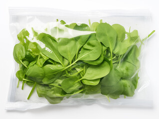 Mixed fresh juicy salad greens, arugula, iceberg lettuce, spinach. Packed in a transparent package. Isolated on a white background.