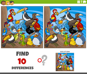 differences activity with cartoon birds animal characters