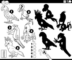 shadows game with cartoon parrots coloring page