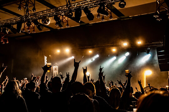 crowd of people dancing at concert