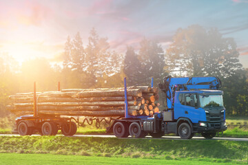 Forestry in Action. Truck Carrying a Heavy Load of Wooden Logs on the Roadside. Timber Transport....