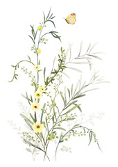 Fototapeta na wymiar Watercolor floral branch elements