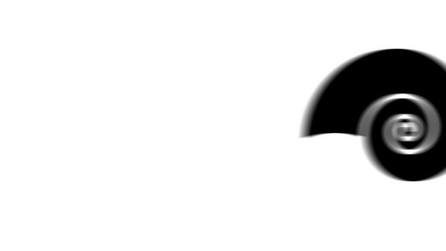 Animation set, marine nautilus symbol. Animations: transparency, zooms, transition top to down, transition left to right, slide up to down, slide left to right
