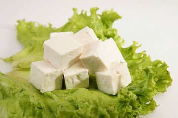 Paneer or Cottage Cheese With Letttuce
