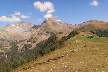Fototapeta na wymiar Wanderparadies über dem Val Masino; Blick von den Casere Scermendone auf Monte Disgrazia (3678 m) und Corni Bruciati (3114 m)