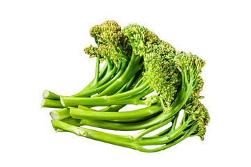 Fresh Raw Organic Broccolini cabbage in a steel tray.  Transparent background. Isolated.