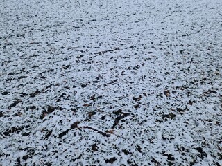 Verschneite Wiese im Winter