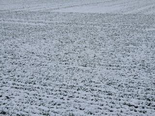 Verschneiter Acker im Winter 1