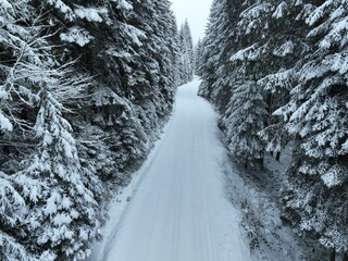 Misty Sunset on the Snowy Mountains aerial drone point of view Forests cross country paths in pine...