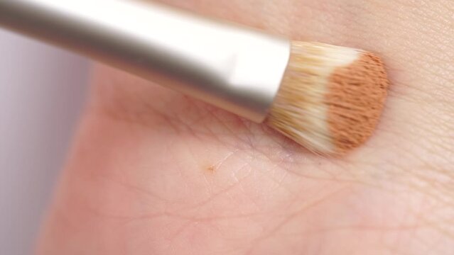 Brush gains beige eyeshadows on pile to be used in make-up. Close up shot of woman applying eyeshadow on hand skin. Cosmetic swatch of eyeshadows, powder, bronzer or highlighter