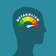High metabolism health concept. Simple illustration.