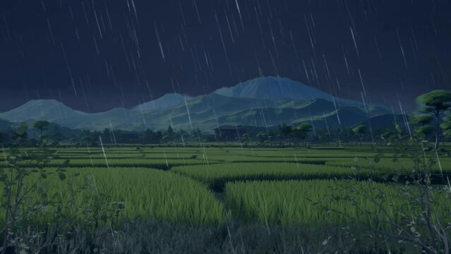 Rain in the rice fields with lightning view animation landscape background. Seamless looping 4K time-lapse virtual illustration video animation dark