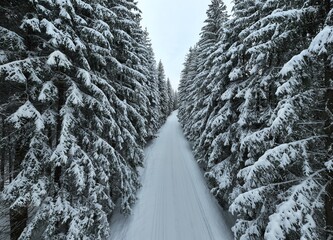 Misty Sunset on the Snowy Mountains aerial drone point of view Forests cross country paths in pine...