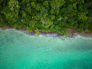 Aerial view sea beach wave white sand beach with green tree forest